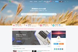 2023最新Zibll子比主题V7.1版本主题 开心版 | WordPress主题 亲测可用