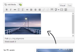WordPress图片快速复制插件OnePress Image Elevator汉化版2.6.2版本