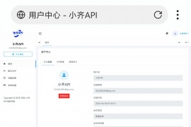 小齐API管理系统源码