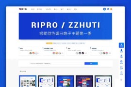 「亲测」Ripro子主题logohe美化包修复版-WP虚拟资源模板ripro美化包下载