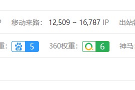 分享一个TAG标签优化的SEO方法-助你短期上权重（纯干货）