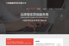 简洁大气且好看的排名seo官网网站源码 html源码