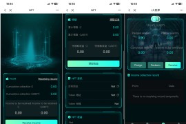 中英双语言BSC币安链dapp类nft-usdt理财源码