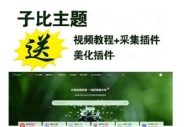 网创教程自动采集wordpress插件子比主题