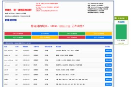 【亲测】勇帅米表系统_域名展示出售系统 PC+H5双端自适应页面