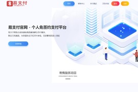 易支付源码运营版无后门带USDT通道易支付系统网站源码 聚合主流通道