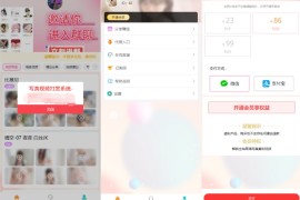2025写真图片视频打赏系统源码 打赏平台搭建  完整可用 附教程