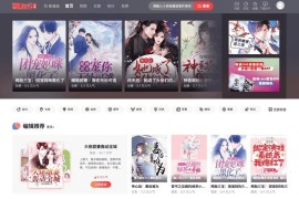 漫画网站小说源码程序CMS系统源码 CI 框架内核进行开发