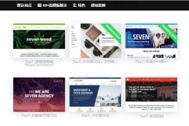 WordPress主题The7 v9.5.2.2最新汉化版下载–WP企业外贸商城网站模板+全套插件