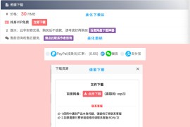 WP资源付费下载插件erphpdown v9.8.8版本下载