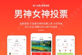 男神女神投票源码 v5.5.21 投票源码