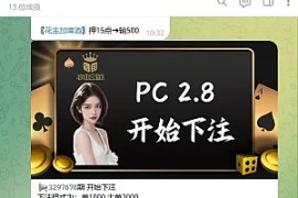 TG加拿大28机器人源码/Telegram机器人源码/独立管理后台/带视频搭建教程