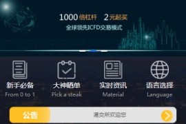 12月第二版玖胜点位盘/时间盘源码 多语言+跟单/带杠杆/MT4+文字教程