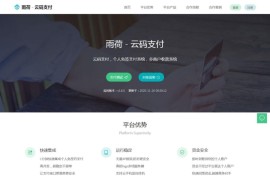 2021最新码支付源码Java版-雨荷人免签支付云码支付系统 带app监控端
