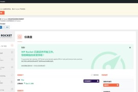 「亲测」WP Rocket插件汉化版v3.10.1下载-WP火箭缓存插件去广告免授权版