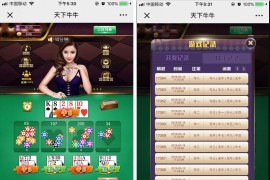 天下牛牛完整运营版 H5百人牛牛棋牌源码 界面清新 控制类似H5龙虎