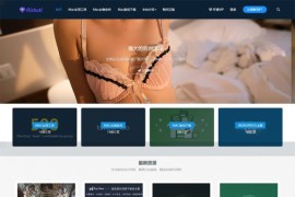 wordpress资源下载站、下载类博客源码、素材网rizhuti3.1版