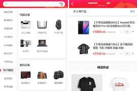 完美运行的返佣商城分销商城理财商城开源PHP+VUE源码