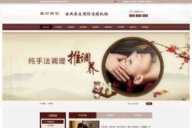 织梦医疗养生资讯门户网站模板 手机端+PC+利于SEO优化