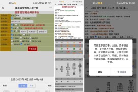 全网首发 九龙道长同款样式八字排盘程序 八字排盘算命源码