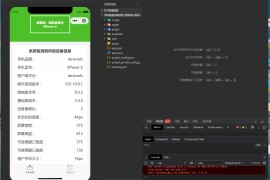 手机配置在线检测工具微信小程序源码