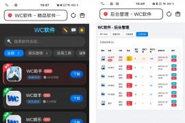 软件库带后台源码