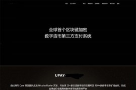 「独家修复」最新upay数字火币支付源码-USDT支付/数字货币承兑系统 支持ERC20 OMNI/代理商/第三方支付接口