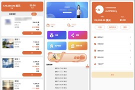 海外电力能源共享投资理财源码/投资理财源码