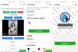 简约短视频去水印加图片多样化加水印微信小程序源码下载支持多流量主