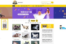 帝国cms仿小可爱宠物网完整源码，专业宠物资讯平台源码下载