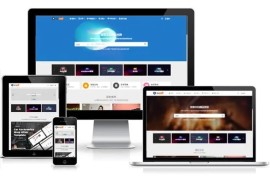 Ripro-v5 8.3开心版日主题-wordpress日主题模版