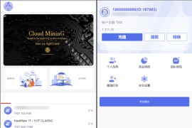 TRX虚拟币矿机源码/区块链矿机交易系统源码/4国语言+usdt充值+教程