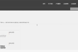 WordPress主题开发滚轴视觉系统企业网站模板下载