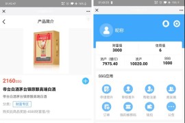 经典版国际数字货币商城源码/ssg货币商城+数字货币+双端APP