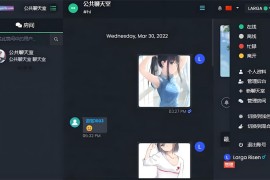 ChatNet v1.11-V1.9 汉化版源码分享及详细搭建教程