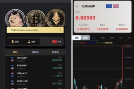 多语言微交易多行情盘PHP源码 多语言交易所源码