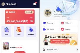 影视投资源码/海外影视共享投资理财源码