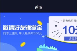 2020二开版自动抢单系统源码/接单返利/收单/资金盘/区块链源码
