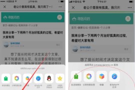 TP5.1内核屏蔽微信投诉按钮-域名防封系统源码完整版