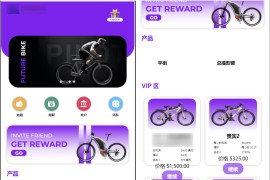 海外自行车投资理财源码/UI精美 团队分佣 多语言 单车共享投资源码