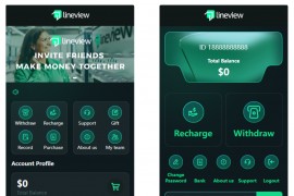 lineview海外汽车投资理财源码/前端html+后端PHP