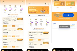 海外usdt挖矿投资理财源码/虚拟币投资理财源码/前端支持英语