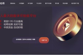 2022新版本多模式秒U盗U系统源码