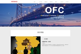 H5织梦cms投资基金管理方法响应式 项目风险管理类网站源码[带手机版]