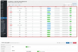 易支付接口插件 支持RIPRO/RiPlus/RiPro-V2/Rizhuti-V2