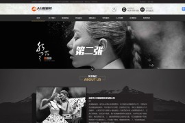 织梦dede模板-黑色摄影PS设计网站源码[带手机版数据同步]