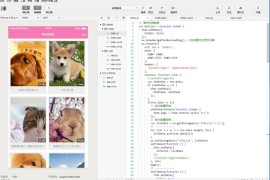 最新Thinkphp内核微信图片管理小程序源码 图片管理系统+后台