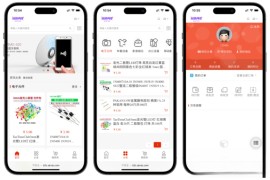 国内中文版网上购物B2C商城 B2C的单用户电商系统 B2C外贸在线购物商城源码