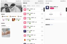 iApp v6软件库+后端源码 超好看功能多iApp源码