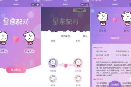 微信趣味小程序源码 恋爱配对微信小程序源码 星座男女配对微信小程序源码
